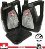 Filtr + olej DEXTRON VI automatycznej skrzyni biegów 4L80-E Cadillac Escalade RWD 2002-2003